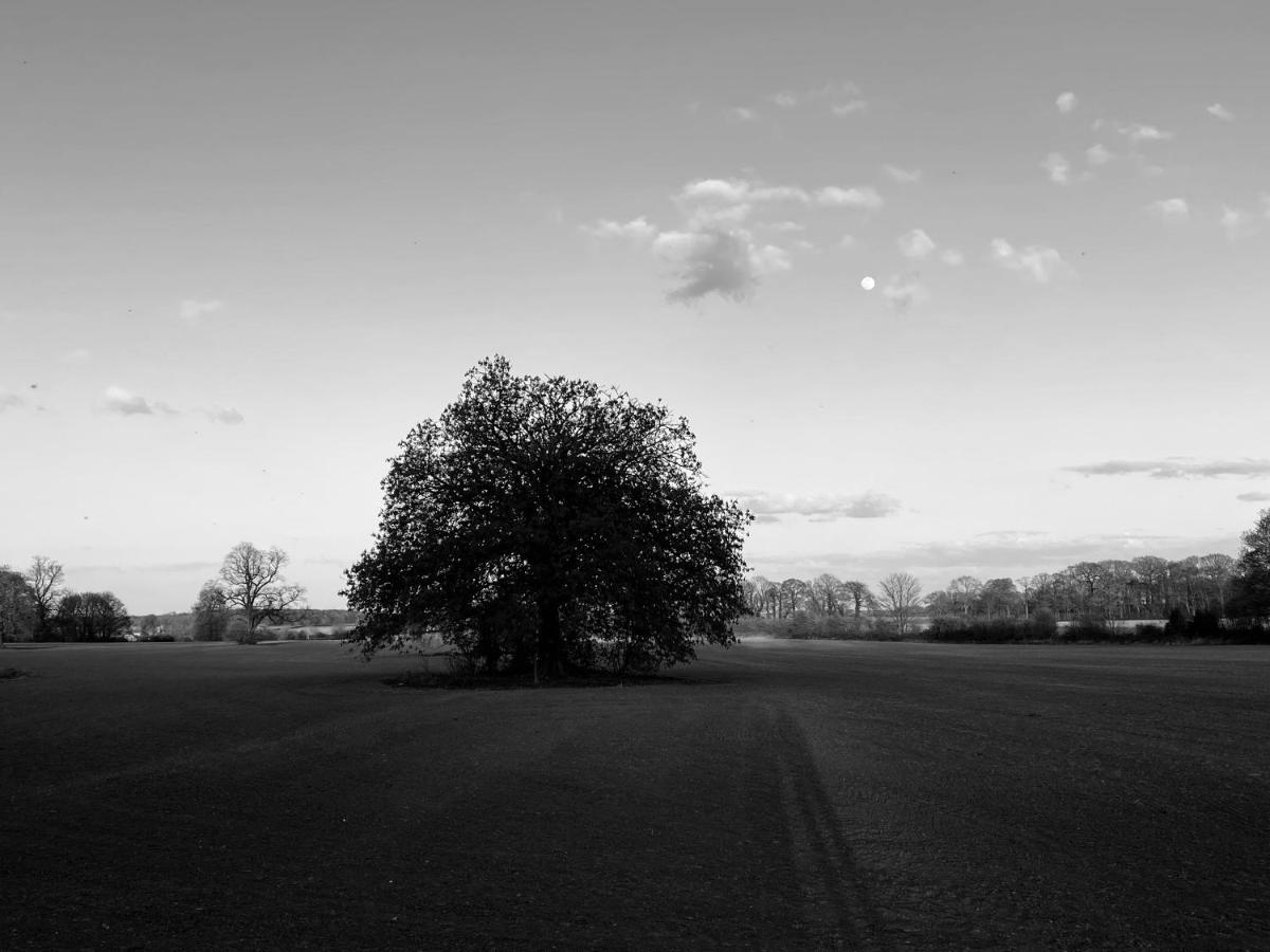 Wildes Inns Chesterfield Exteriér fotografie