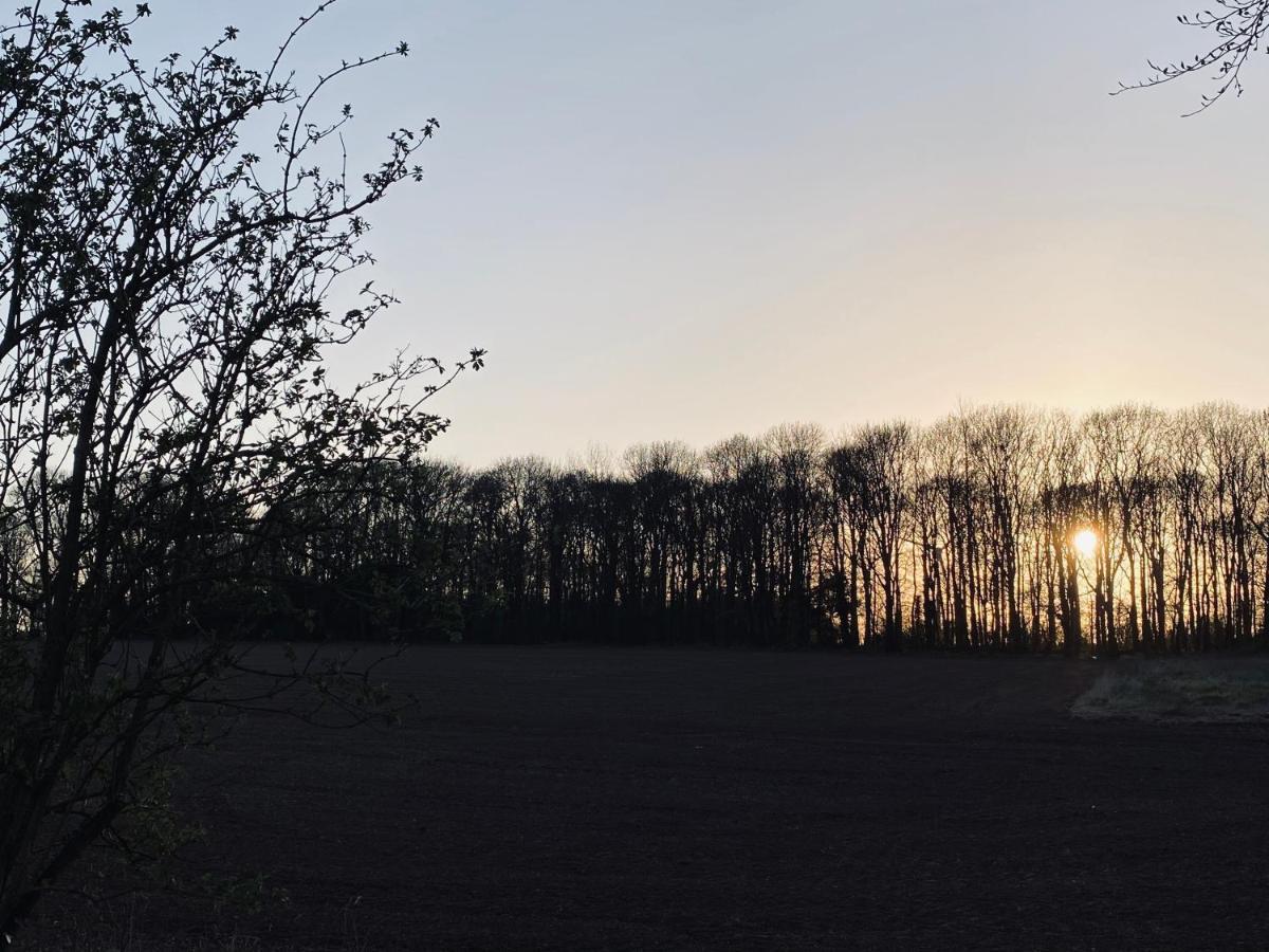 Wildes Inns Chesterfield Exteriér fotografie